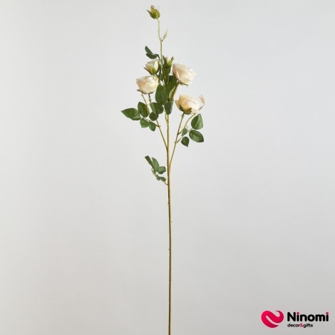 Ветка розы "Садовая" молочная с жёлтой тычинкой - Фото
