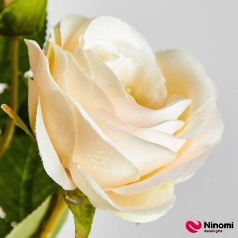 Ветка розы "Садовая" молочная с жёлтой тычинкой - Фото
