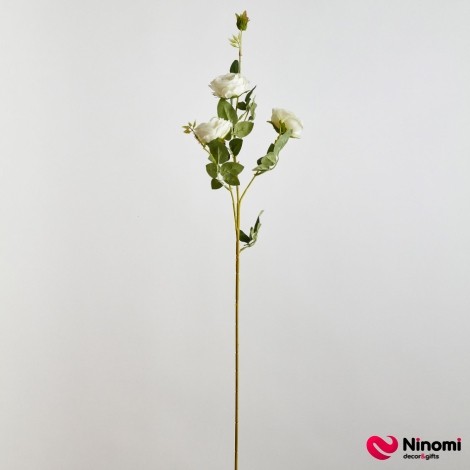 Ветка розы "Садовая" белая с жёлтой тычинкой - Фото
