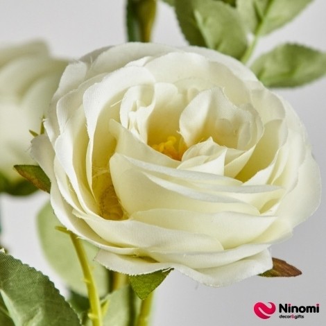 Ветка розы "Садовая" белая с жёлтой тычинкой - Фото
