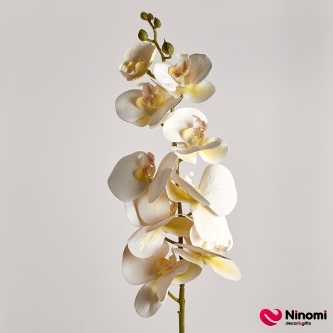Ветка "Орхидея №2" белая - Фото