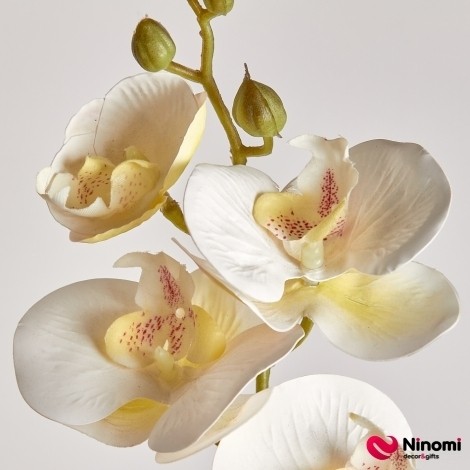 Ветка "Орхидея №2" белая - Фото