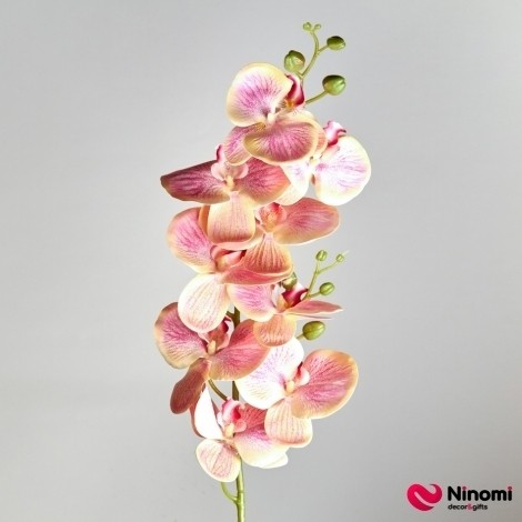 Ветка "Орхидея №3" розово-кремовая - Фото