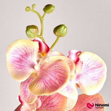 Ветка "Орхидея №3" розово-кремовая - Фото