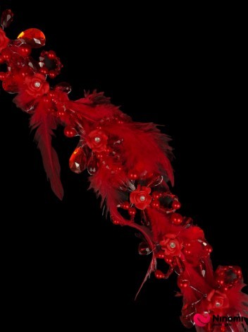 Тика с перьями красная - Фото