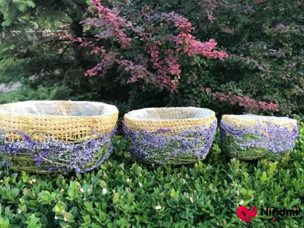 Набор кашпо с сухоцветами овальный "Лаванда" - Фото