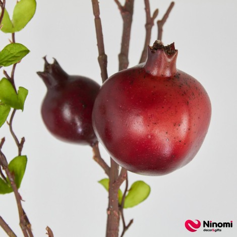 Ветка "Граната" с красными плодами - Фото