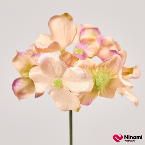 Головки цветов "Гортензия №2" персиковые - Фото