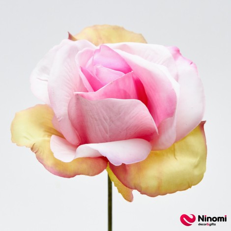 Головки цветов "Роза №5" бело-розовые - Фото