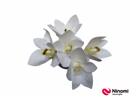 Букет "Орхидеи №1" белый 5шт - Фото