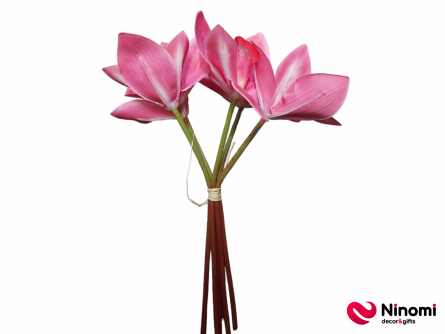 Букет "Орхидеи" темно-розовый 5шт - Фото