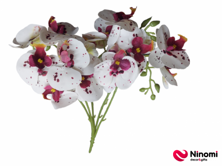 букет"Орхидея" №1 белая на 5-веток - Фото