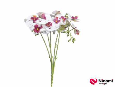 букет"Орхидея" №1 белая на 5-веток - Фото