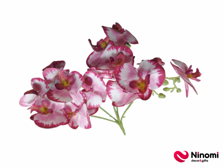 букет"Орхидея"бело- розовый на 5-веток - Фото