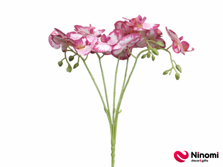букет"Орхидея"бело- розовый на 5-веток - Фото