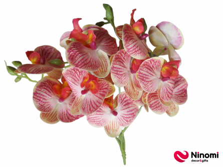 букет"Орхидея"№4 на 5-веток - Фото