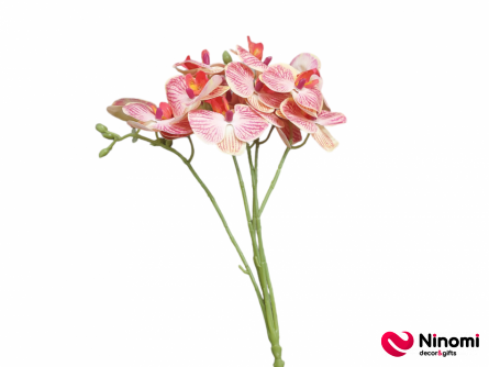 букет"Орхидея"№4 на 5-веток - Фото