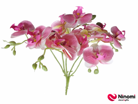 букет"Орхидея"№5 на 5-веток - Фото