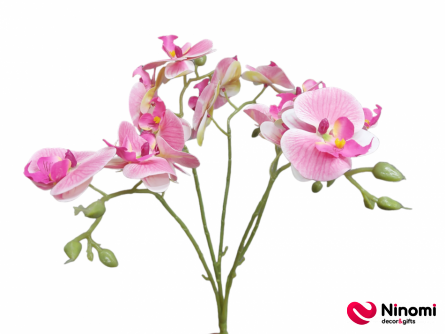 букет"Орхидея"№5 на 5-веток - Фото