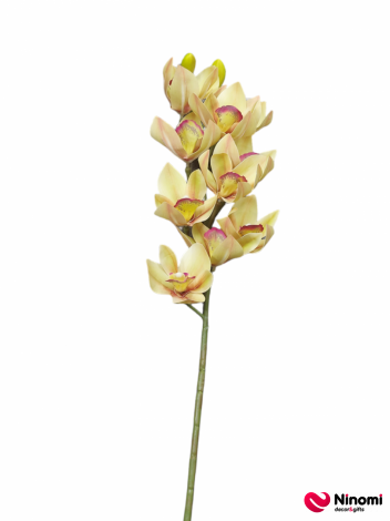 ветка "орхидея" №1 - Фото
