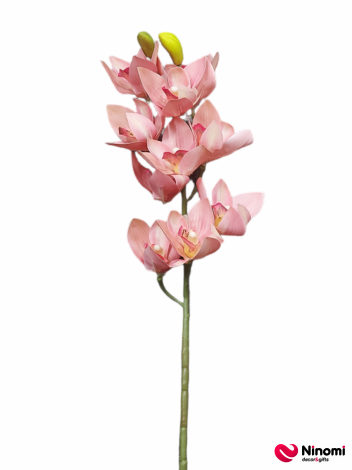 ветка "орхидея" №2 - Фото