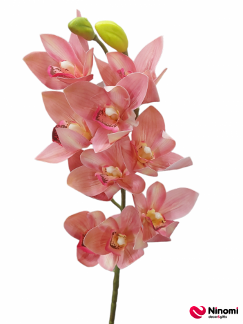 ветка "орхидея" №2 - Фото