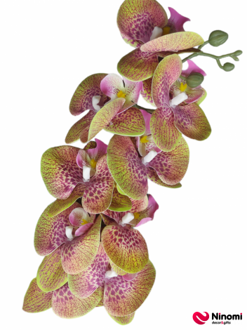 ветка "орхидея" №4 - Фото