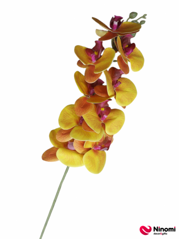ветка "орхидея" №5 - Фото