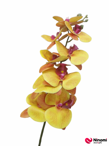 ветка "орхидея" №5 - Фото