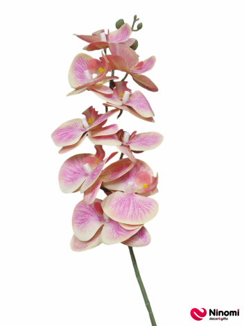 ветка "орхидея" №7 - Фото