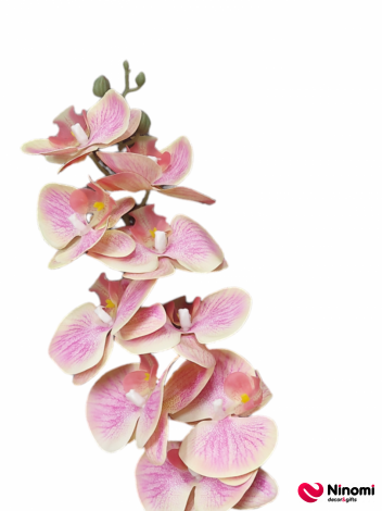 ветка "орхидея" №7 - Фото