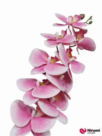 ветка "орхидея" №8 - Фото