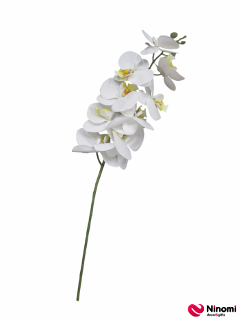 ветка "орхидея" №9 - Фото