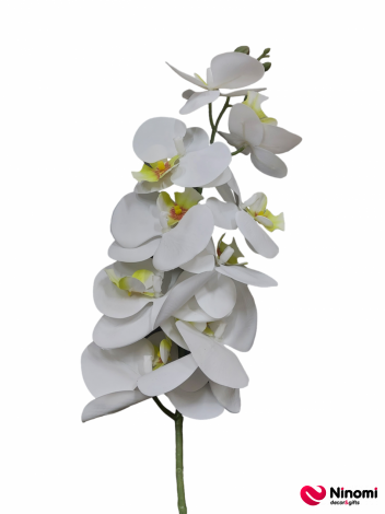 ветка "орхидея" №9 - Фото
