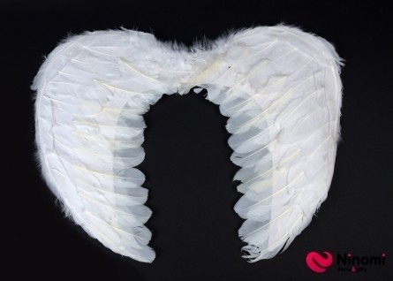 Крыло перьевое белое среднее - Фото